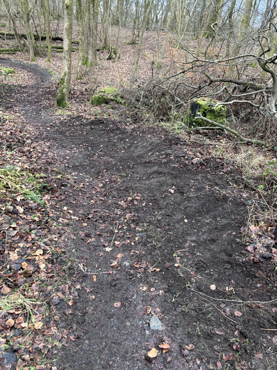 Team back out today looking after the local trails. Lots of good work done and teaching young people the skills to help maintain and shape our local mountain bike trail network.