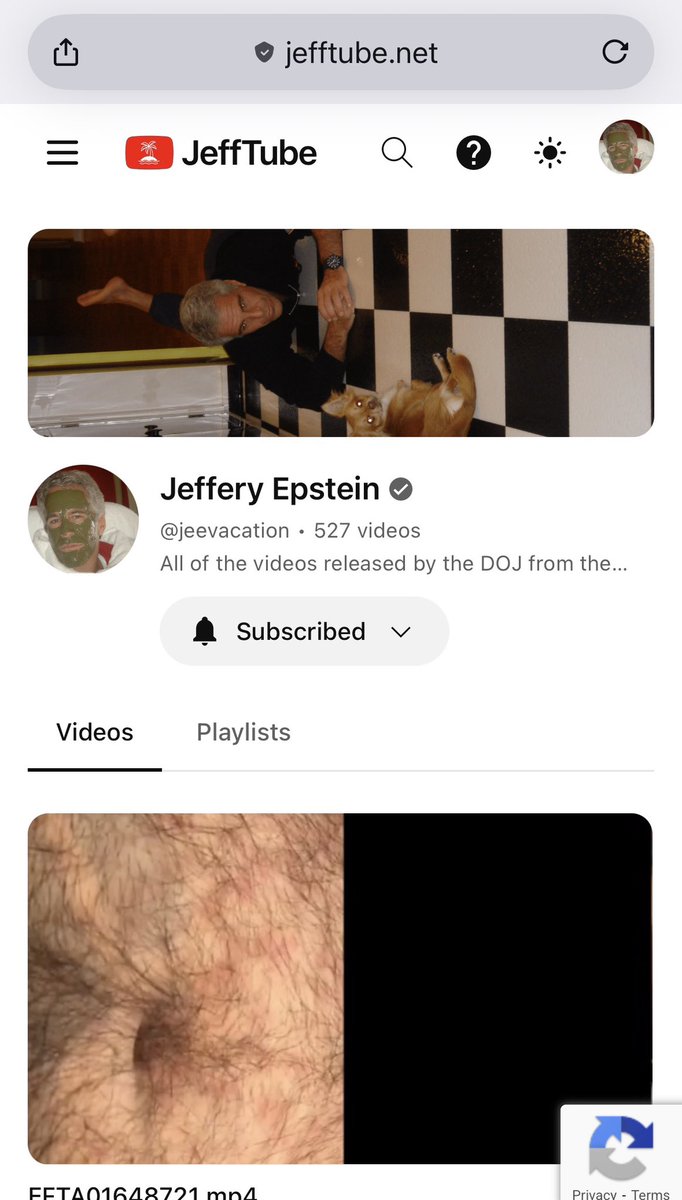 N_{Dario Fadda} tweet media