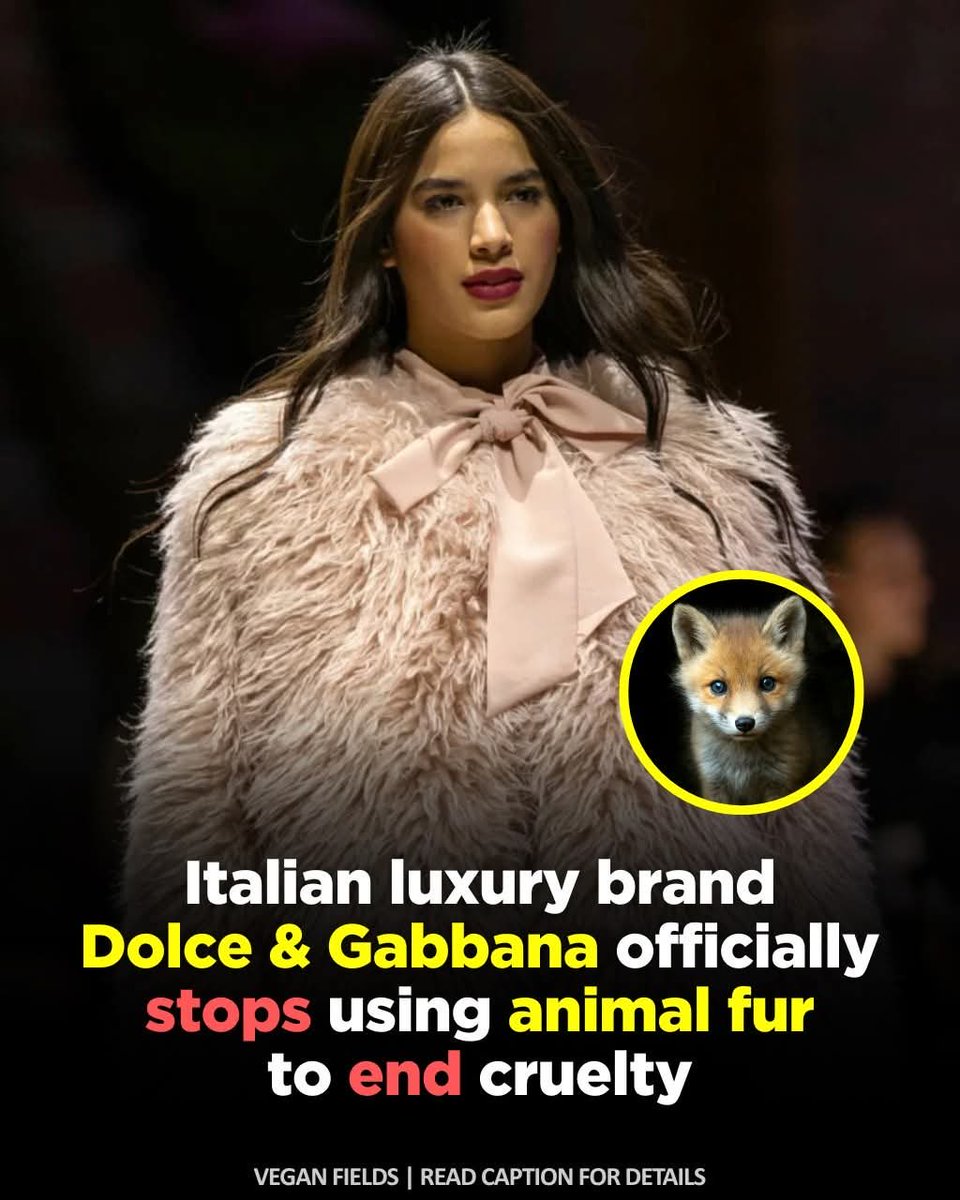 dominic dyer tweet media