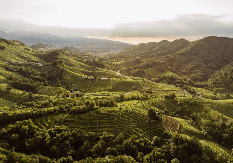 Mariusz Kapczyński tweet media