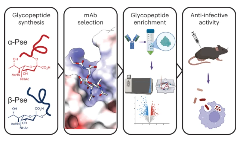 nchembio tweet picture