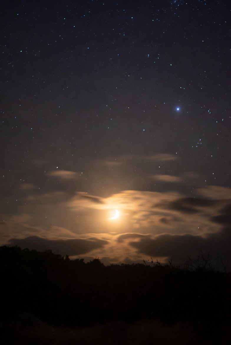 khananworld's tweet photo. Good night, wonderful souls!

May the stars sprinkle peace over your dreams, and the moon watch over you gently. Sleep tight and wake up refreshed. 🌙💫 Sweet dreams! https://t.co/C2ucMfitjy