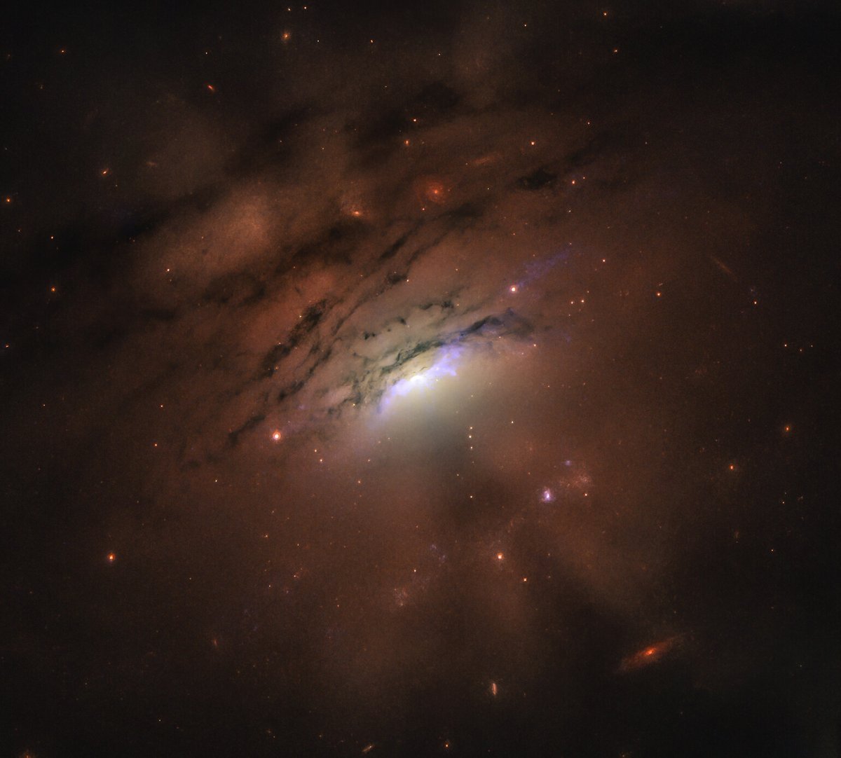 WorldAndScience's tweet photo. Stunning view: Light and shadow beams fan out from the core of nearby galaxy IC 5063, sculpted by a supermassive black hole and its dusty ring.

This phenomenon extends over an incredible 36,000 light-years!

Credit: NASA, ESA, and W.P. Maksym (CfA) https://t.co/MN7tHwZAZ6