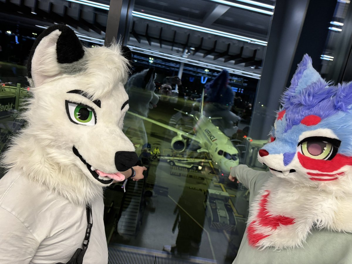 Zach / Naéromi tweet media