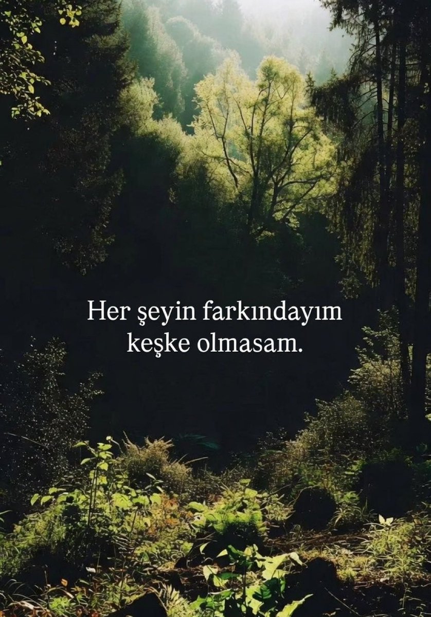 Konuşan Kitap tweet media