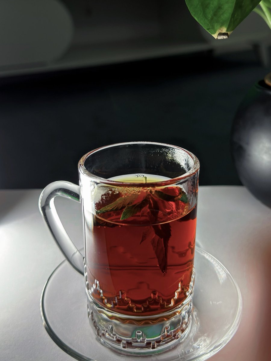 tea99_'s tweet photo. كل ما تحتاجه هذا المساء كوب شاي بحبق♥️✨ https://t.co/VpWVjud059
