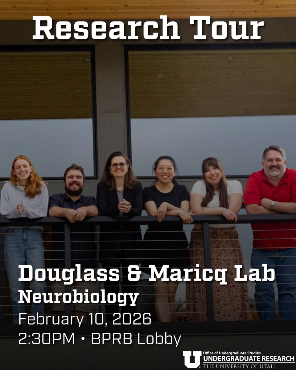 Undergrad Research tweet media