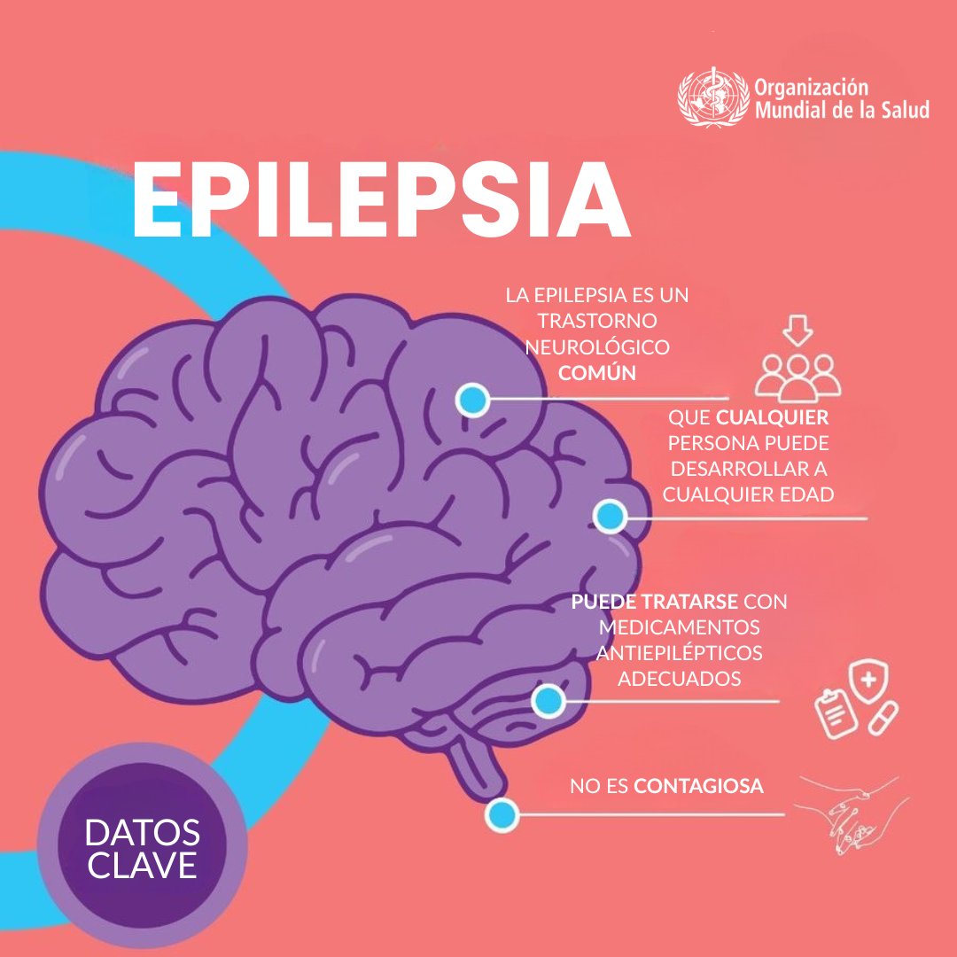 En todo el mundo, unos 50 millones de personas padecen epilepsia, lo que la convierte en uno de los trastornos neurológicos más comunes

Es una afección neurológica tratable, sin embargo tres de cada cuatro personas afectadas que viven en países de ingresos bajos no reciben el