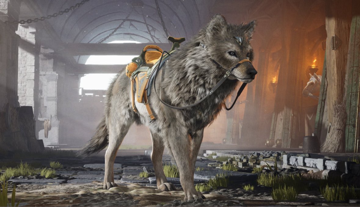 Olga Kay tweet media