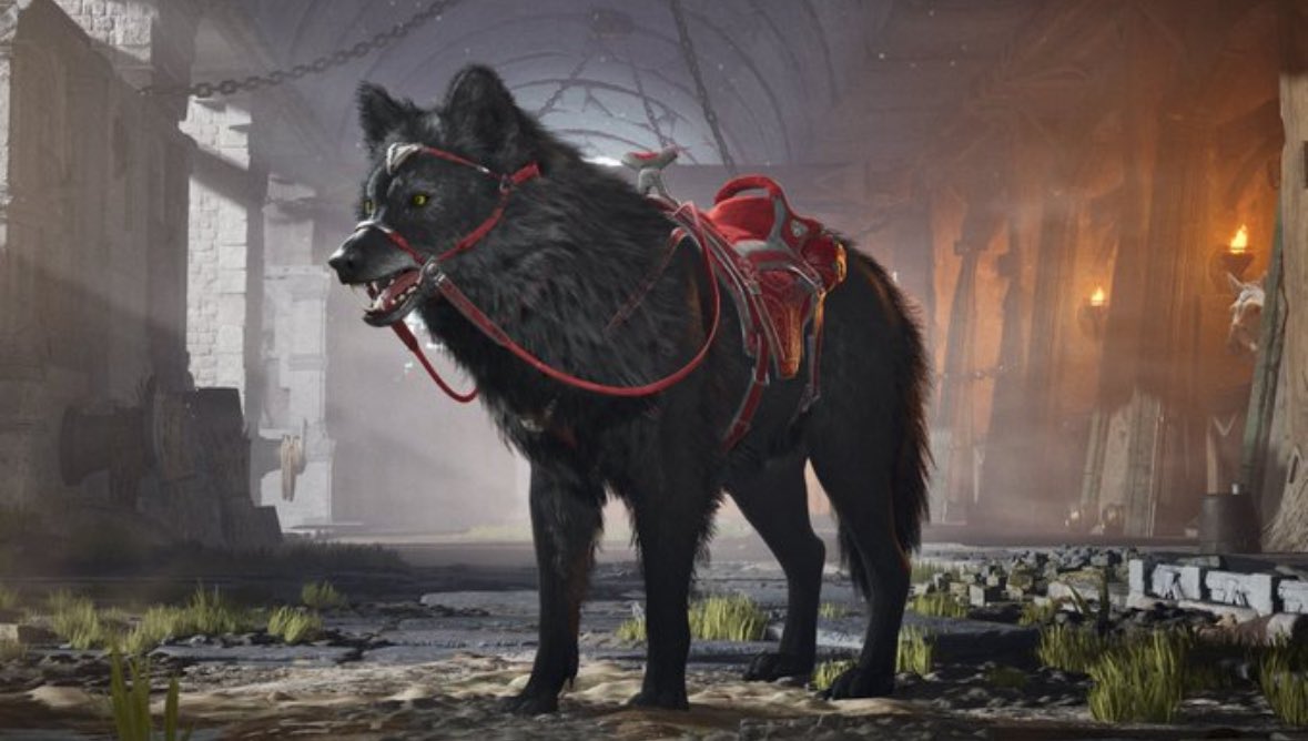 Olga Kay tweet media