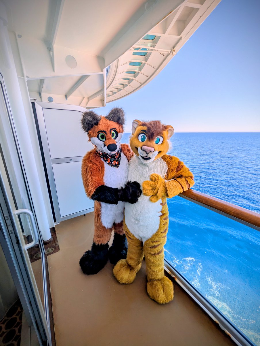 ~TigonCat~ tweet media