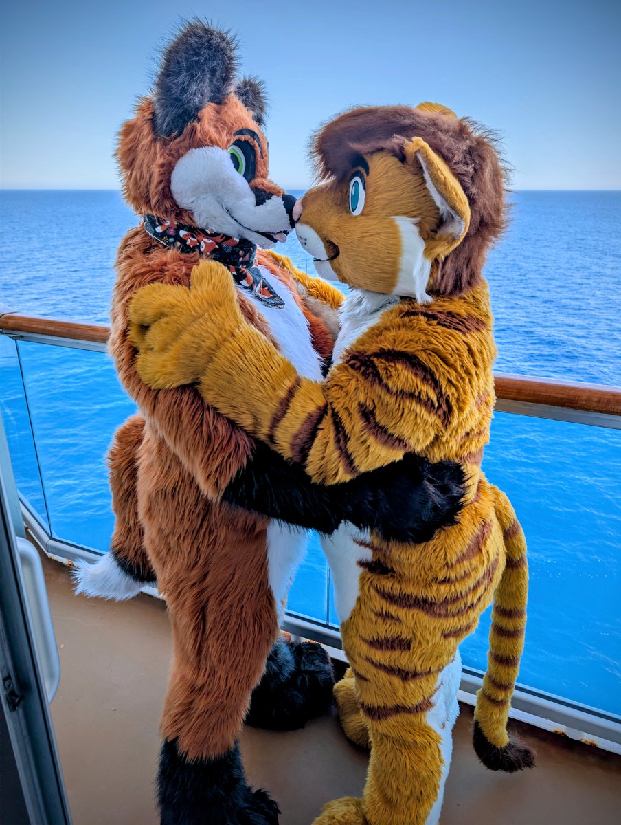 ~TigonCat~ tweet media