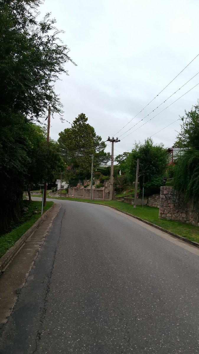 Midffee🌴 tweet media