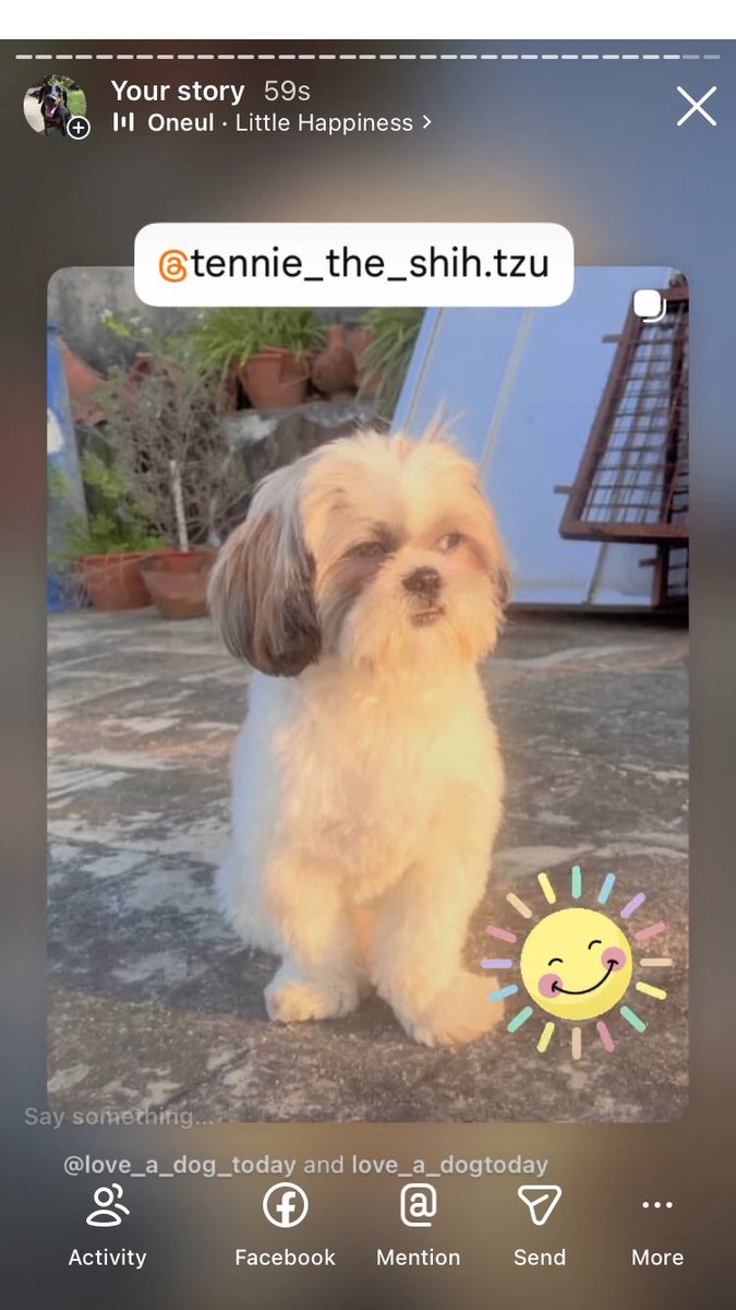 Anman248's tweet photo. Today’s small dogs

Follow on IG @love_a_dogtoday and @love_a_dog_today for the complete posts and profiles of these pups
.................
#dog #dogs  #loveadogtoday #loveadogday  #doglove #dogsoftwitter #twitterdogs #twitterdog https://t.co/3lHasfMjUL
