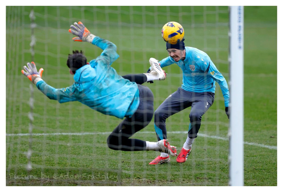 Adam Fradgley tweet media