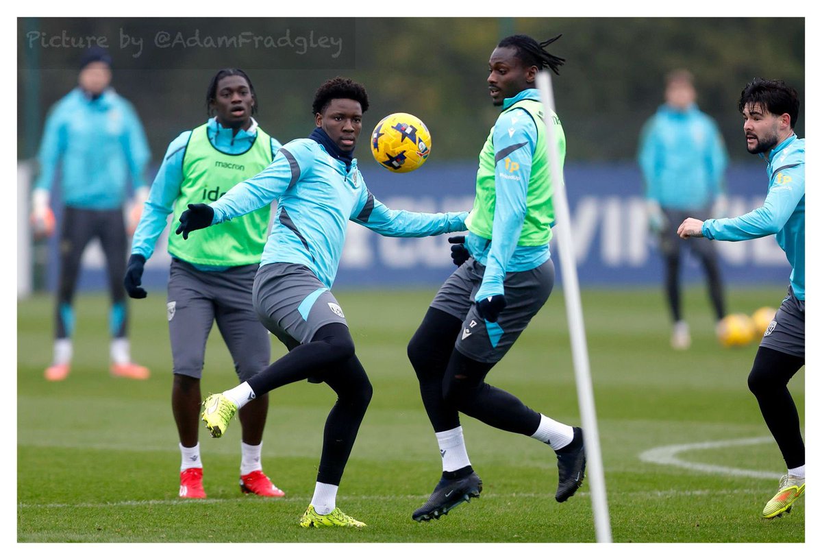 Adam Fradgley tweet media