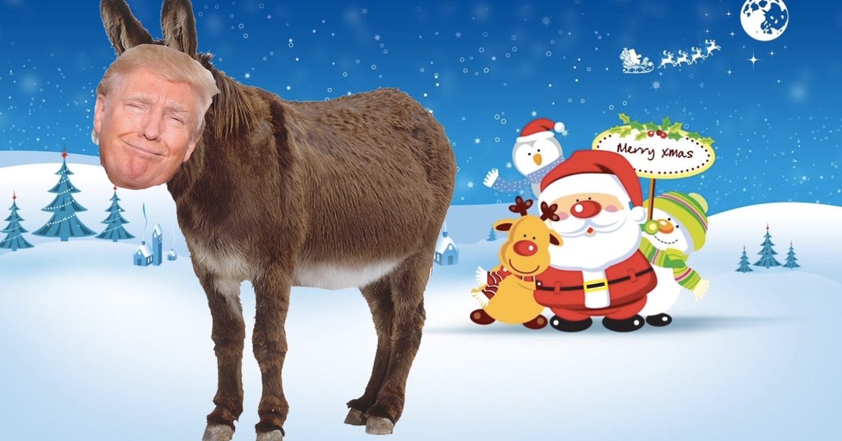 Donkey Donald. #donald #trump