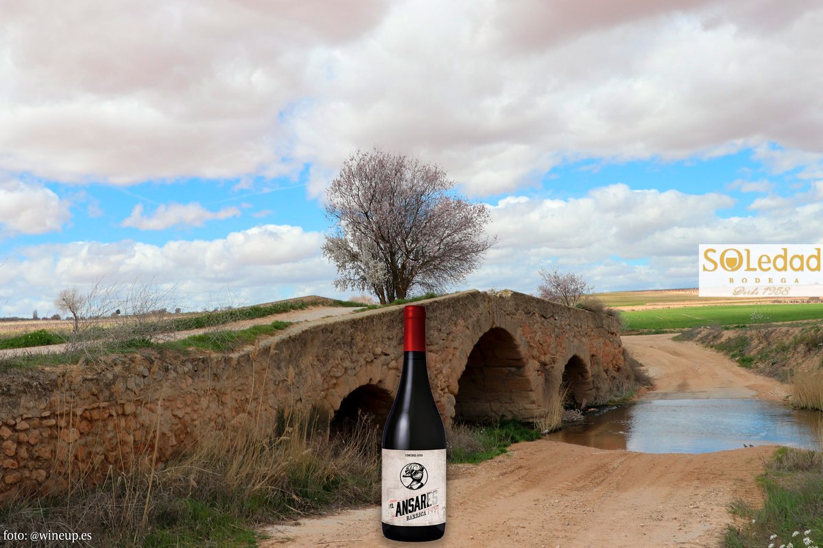 El río Riánsares nace en Vellisca (Cuenca),  cruza nuestros viñedos y desemboca en el Río Giüela. También, da nombre a uno de nuestras últimas etiquetas: Ribera del Riánsares.

¿Lo has probado ya?