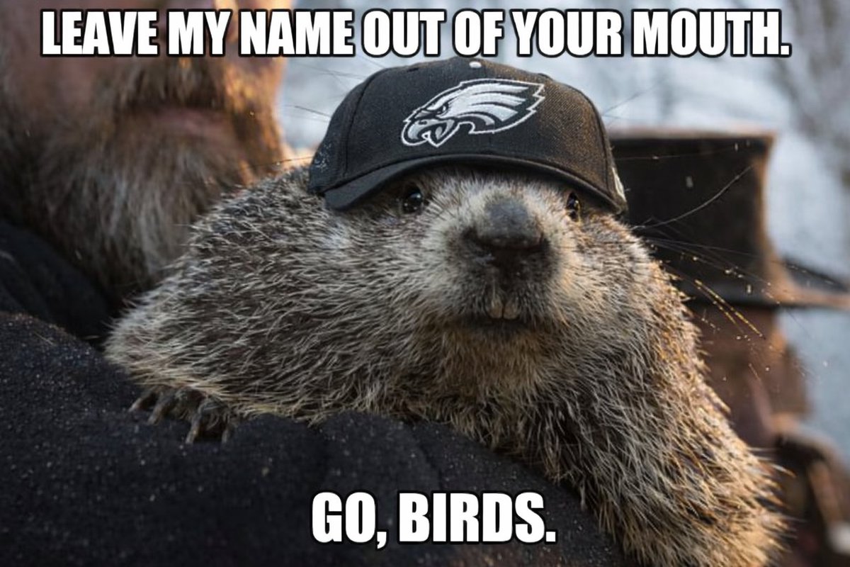 VickyNowJerseyGirl tweet media