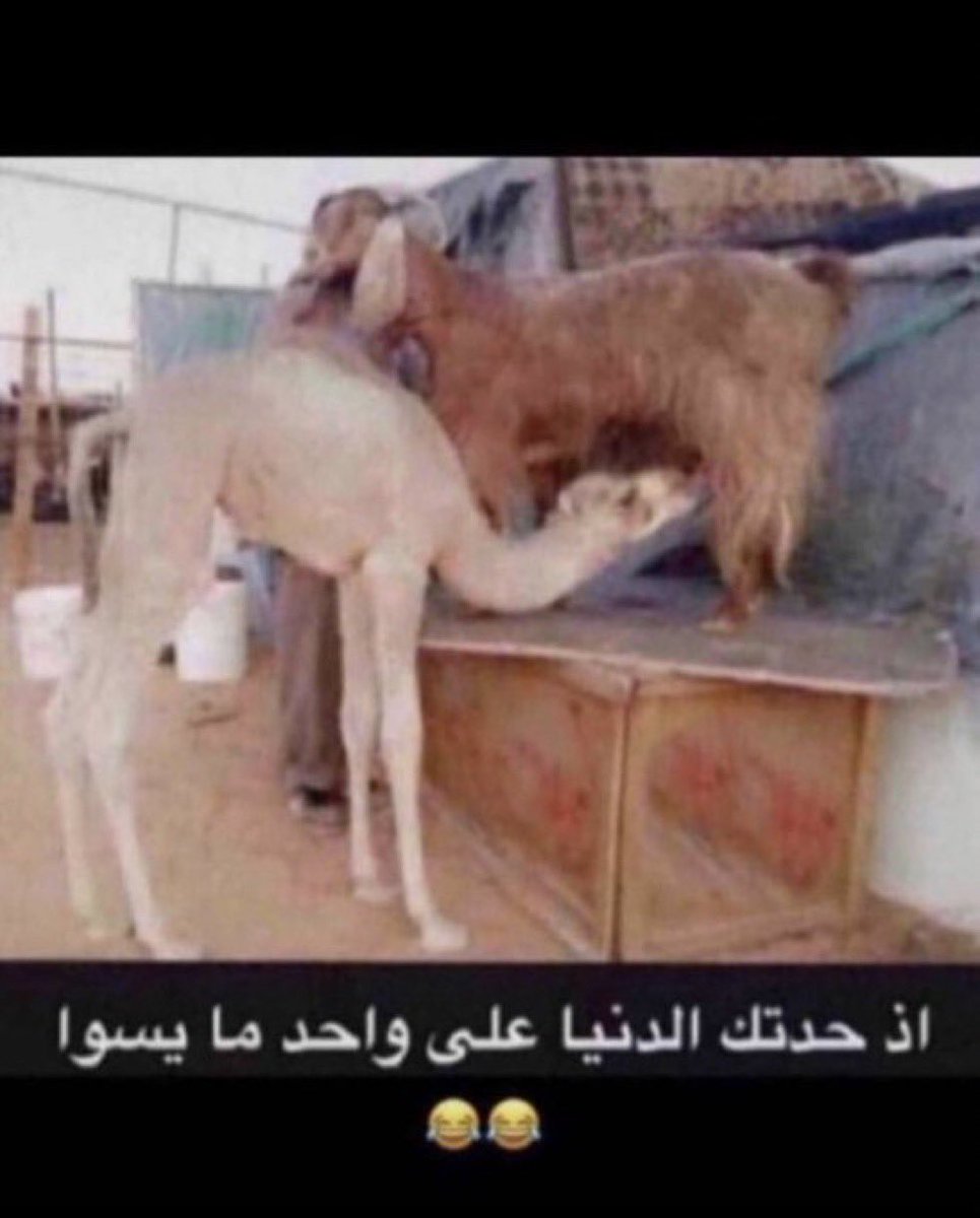 جملها يالجار 💚