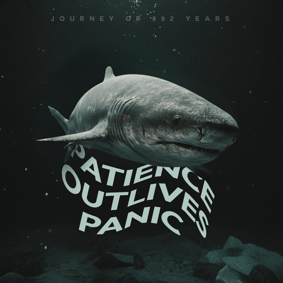 The path was heavy and unclear. I didn’t rush it. I kept going.