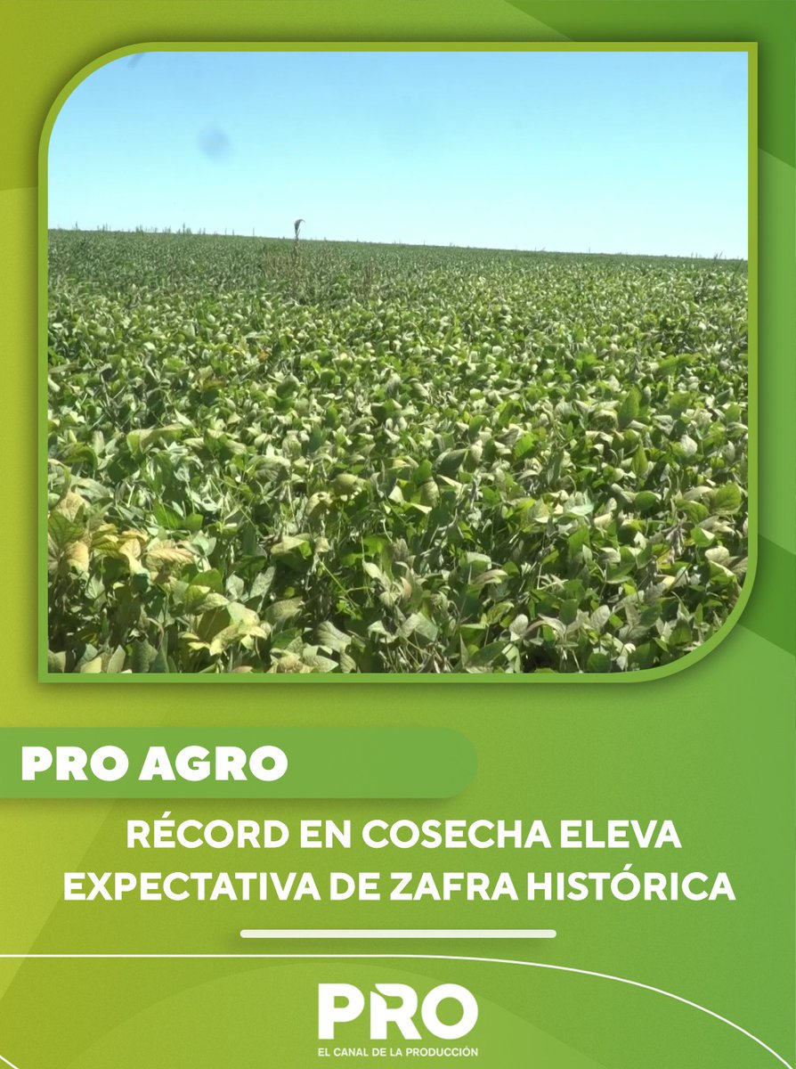 canalpropy's tweet photo. 🧑🏻🌾#PROAgro | Cosecha de soja alcanza números récord
📝La cosecha de soja en Paraguay registró números récord, superando las expectativas iniciales. El desempeño por encima de lo previsto llevó a revisiones al alza de los rindes promedios en los principales departamentos productores del país.