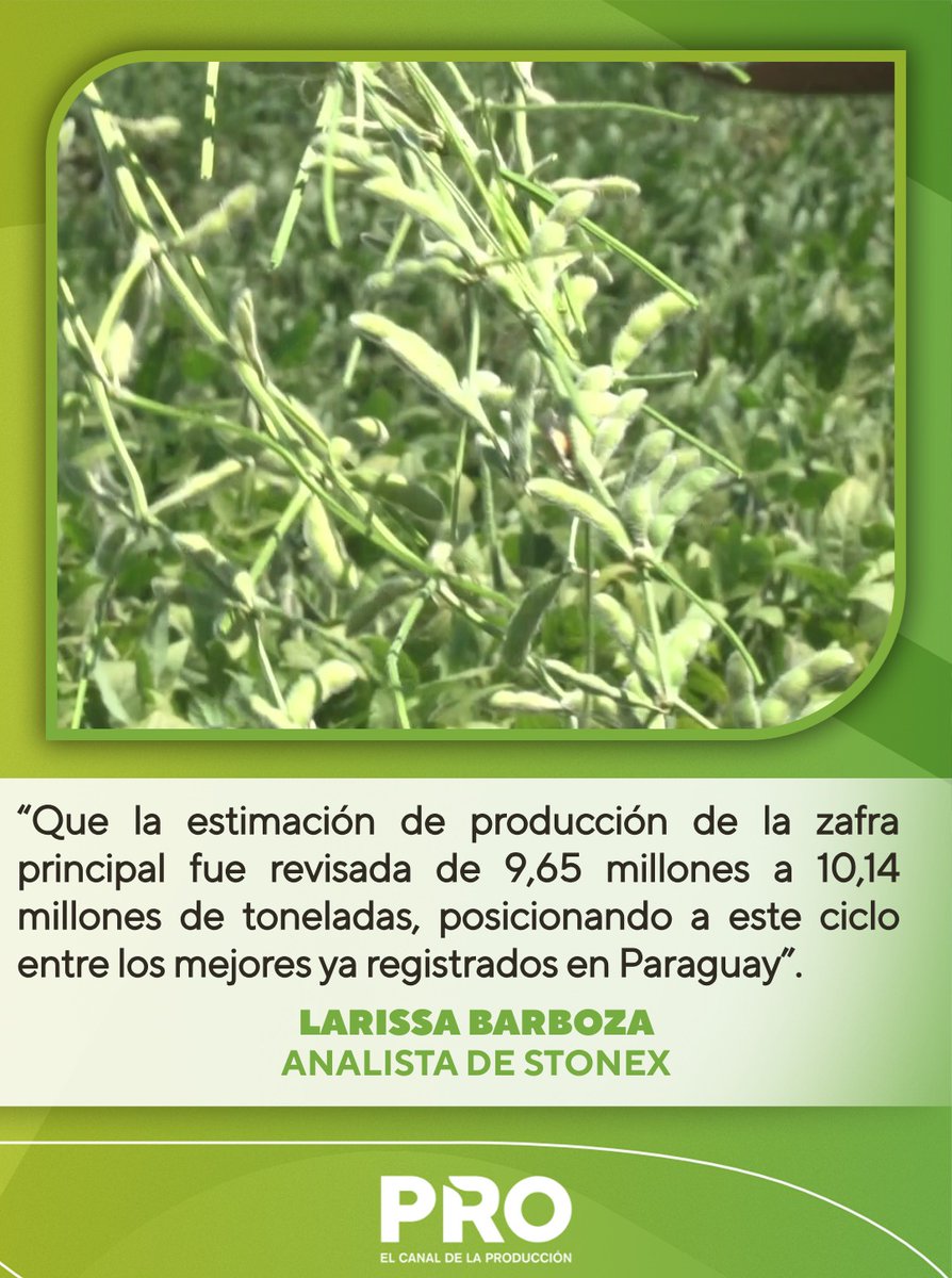 canalpropy's tweet photo. 🧑🏻🌾#PROAgro | Cosecha de soja alcanza números récord
📝La cosecha de soja en Paraguay registró números récord, superando las expectativas iniciales. El desempeño por encima de lo previsto llevó a revisiones al alza de los rindes promedios en los principales departamentos productores del país.