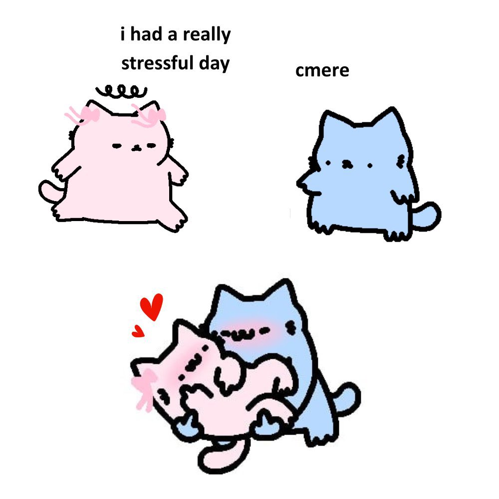 no context nub tweet media