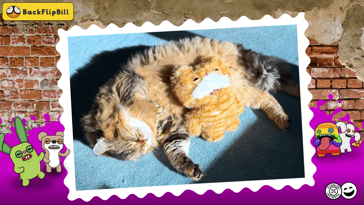 This Collector Spotlight is PURR-fuggtion! 🤩