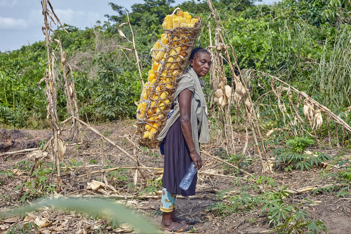 ABCom_ONGD's tweet photo. Semer avec patience, récolter avec gratitude.
La terre nourrit ceux qui ont cru en elle.

#agriculture #Investinhumanity https://t.co/qAOsYDcpRi