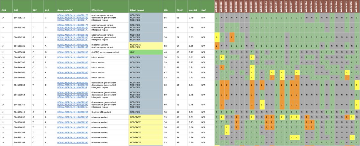 GrainGenes tweet media