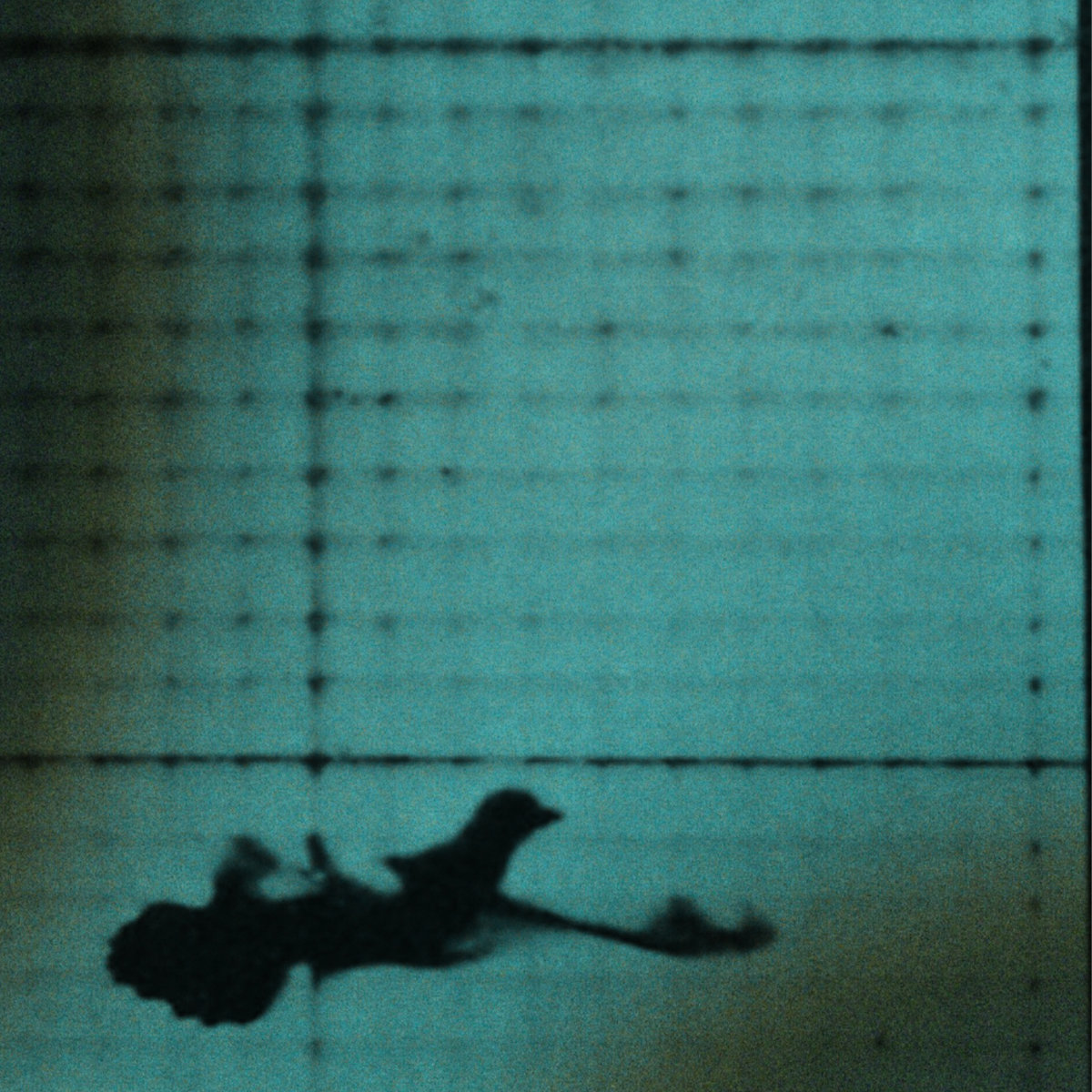 buffaBLOG tweet media