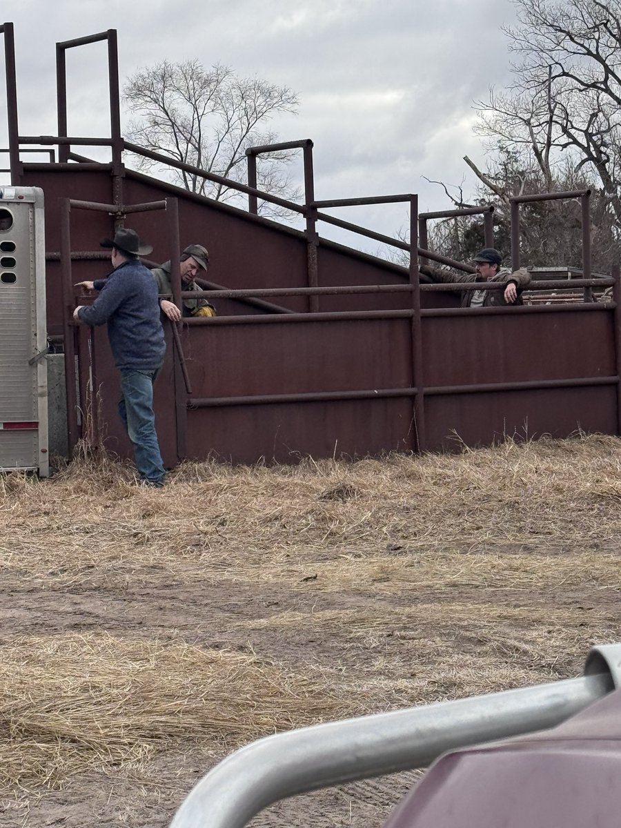 Courtney Koinzan tweet media