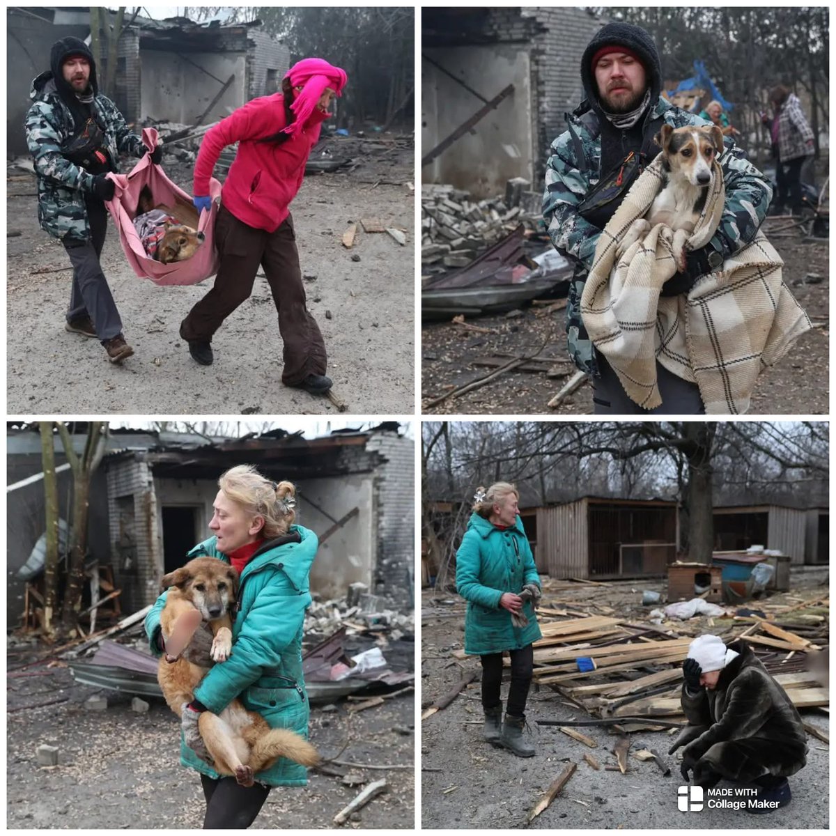 People evacuate wounded dogs after Russian troops fired upon a stray dog shelter in Zaporizhzhia, Ukraine 😧😢

#NewsForYou