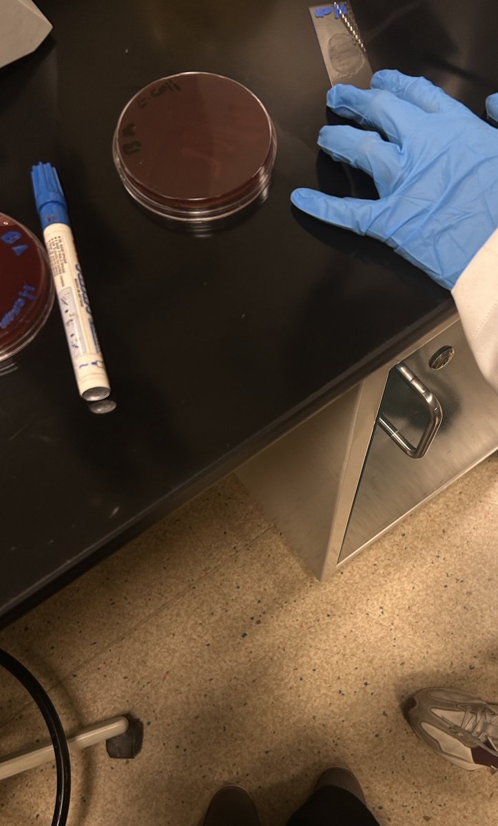 سنعود بعد قليل
عدنا