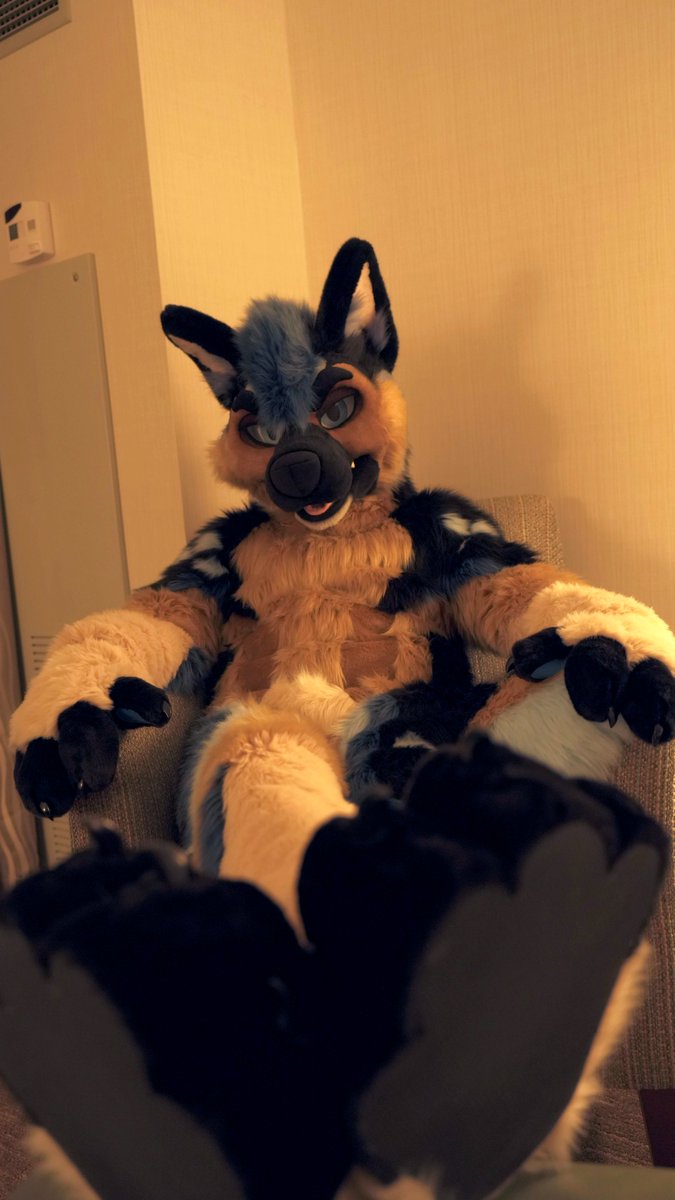 Paws out.
Brain off. 

Happy #FursuitFriday!

📸<a href="/JeyHusky/">Jey</a>
🪡@MixedCandy