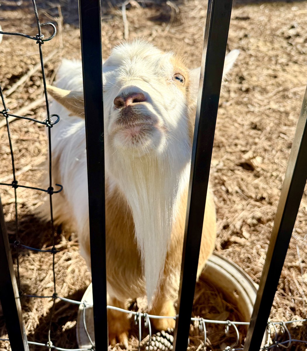 Christine Bronski tweet media