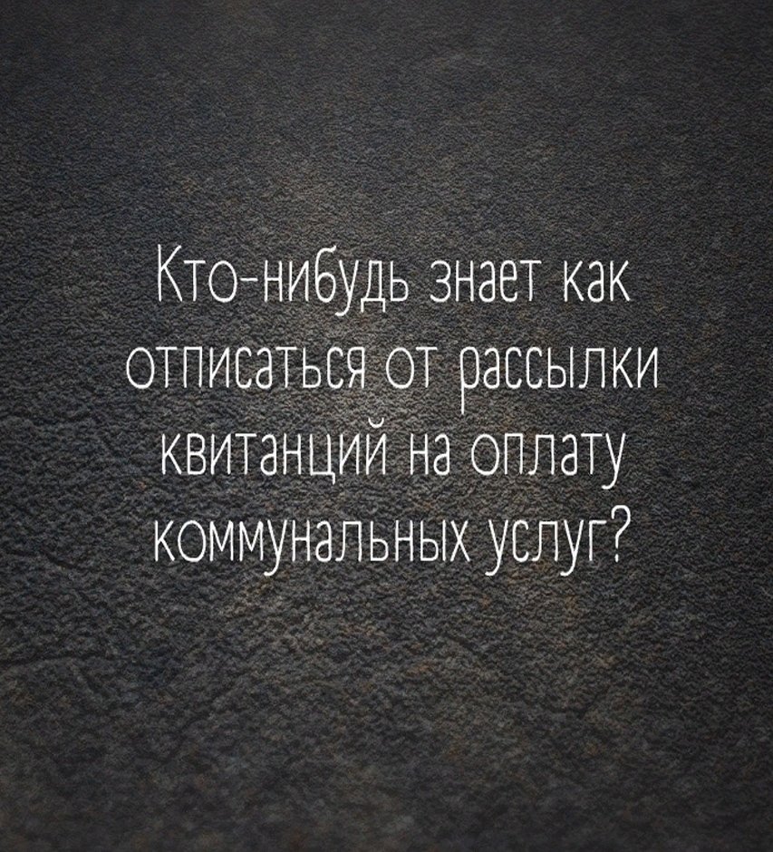 OlgaKnight tweet media