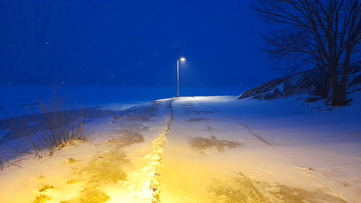 SwedishGamester's tweet image. There's a major #blizzard that's been going on all day, so when I'm walking outside in the #FreezingCold it feels like I'm in @HinterlandGames #TheLongDark! 🥶❄️☃️