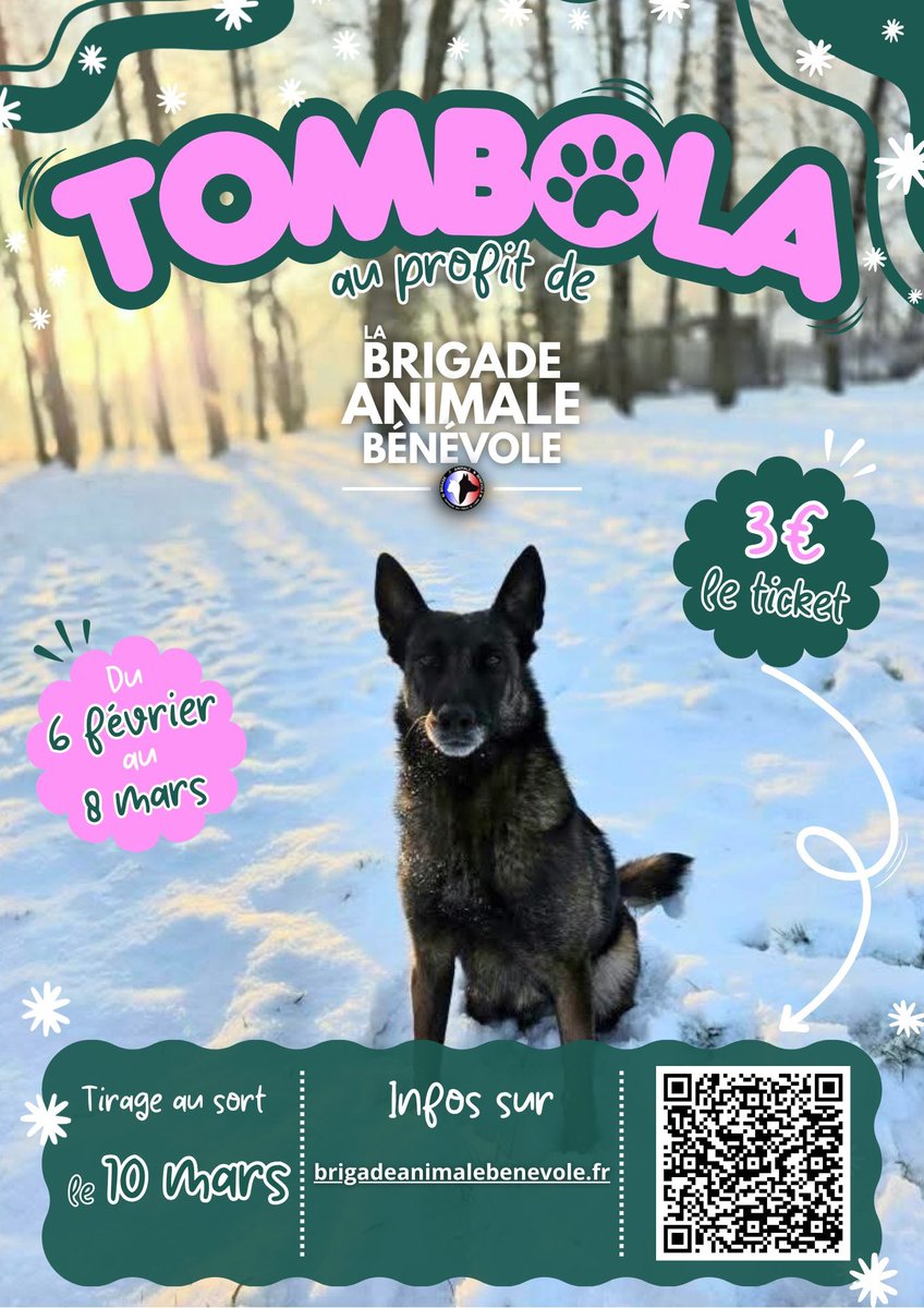 Brigade Animale Bénévole | BAB tweet media