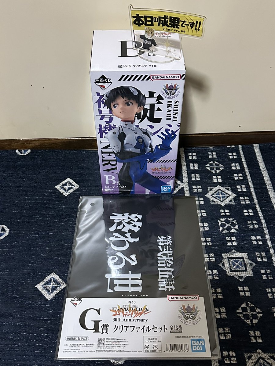 Post by とらのこ🐯 on X: ✨✨🐯㊗️✨✨