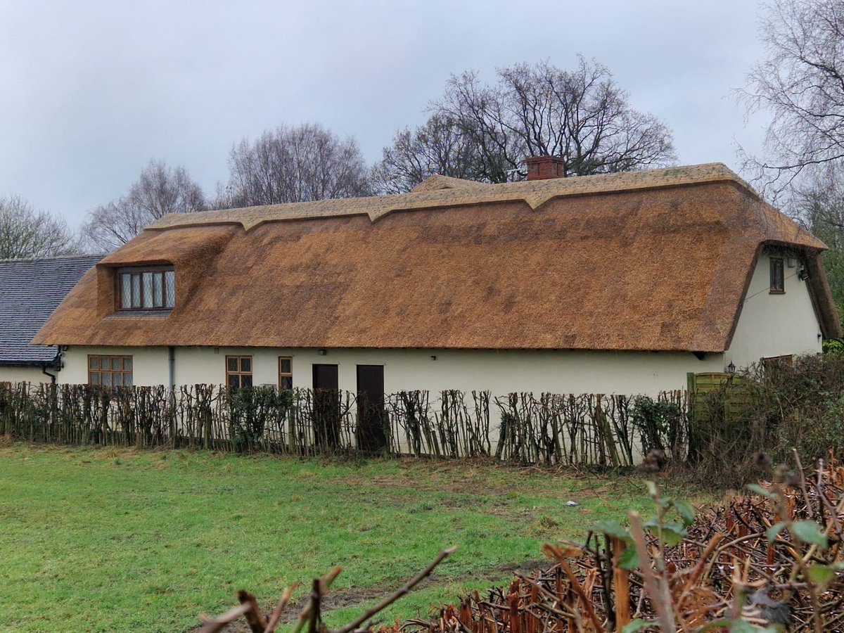 Master Thatchers Ltd tweet media