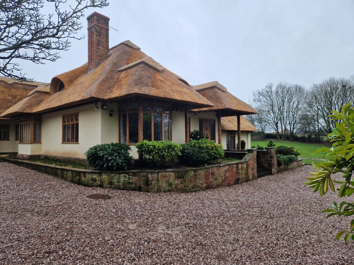 Master Thatchers Ltd tweet media