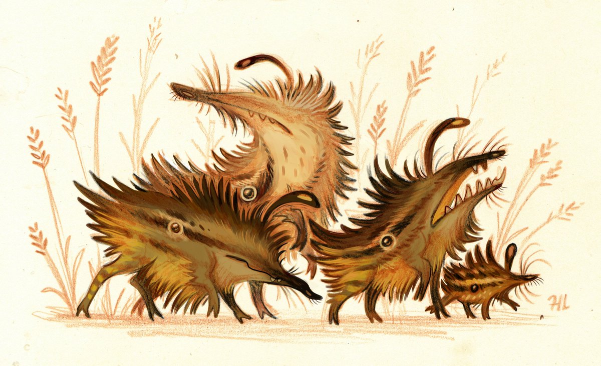 🌾🌿🪿 Holly 🪿🌿🌾 tweet media