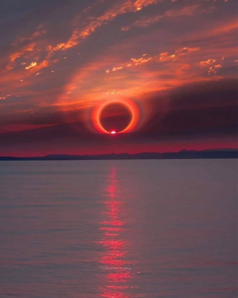 forallcurious's tweet image. 🚨: Extremely rare solar halo captured during sunrise

📸: NatGeo
