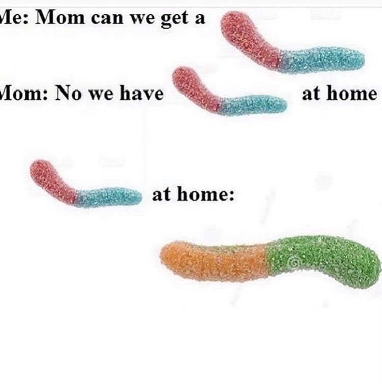 horse dentist tweet media