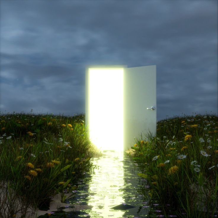 dan and phil yuri | WILL DAY tweet media