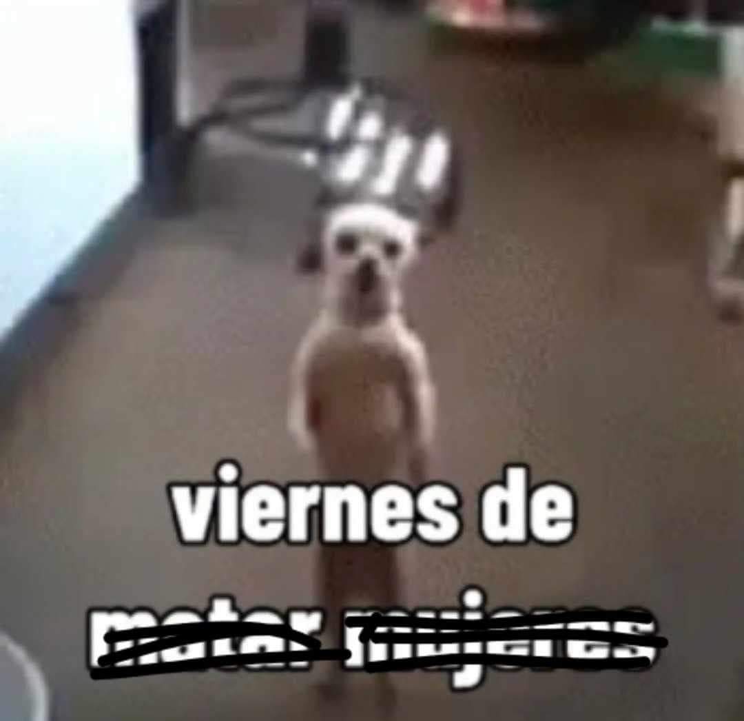 Hoy es el día...
