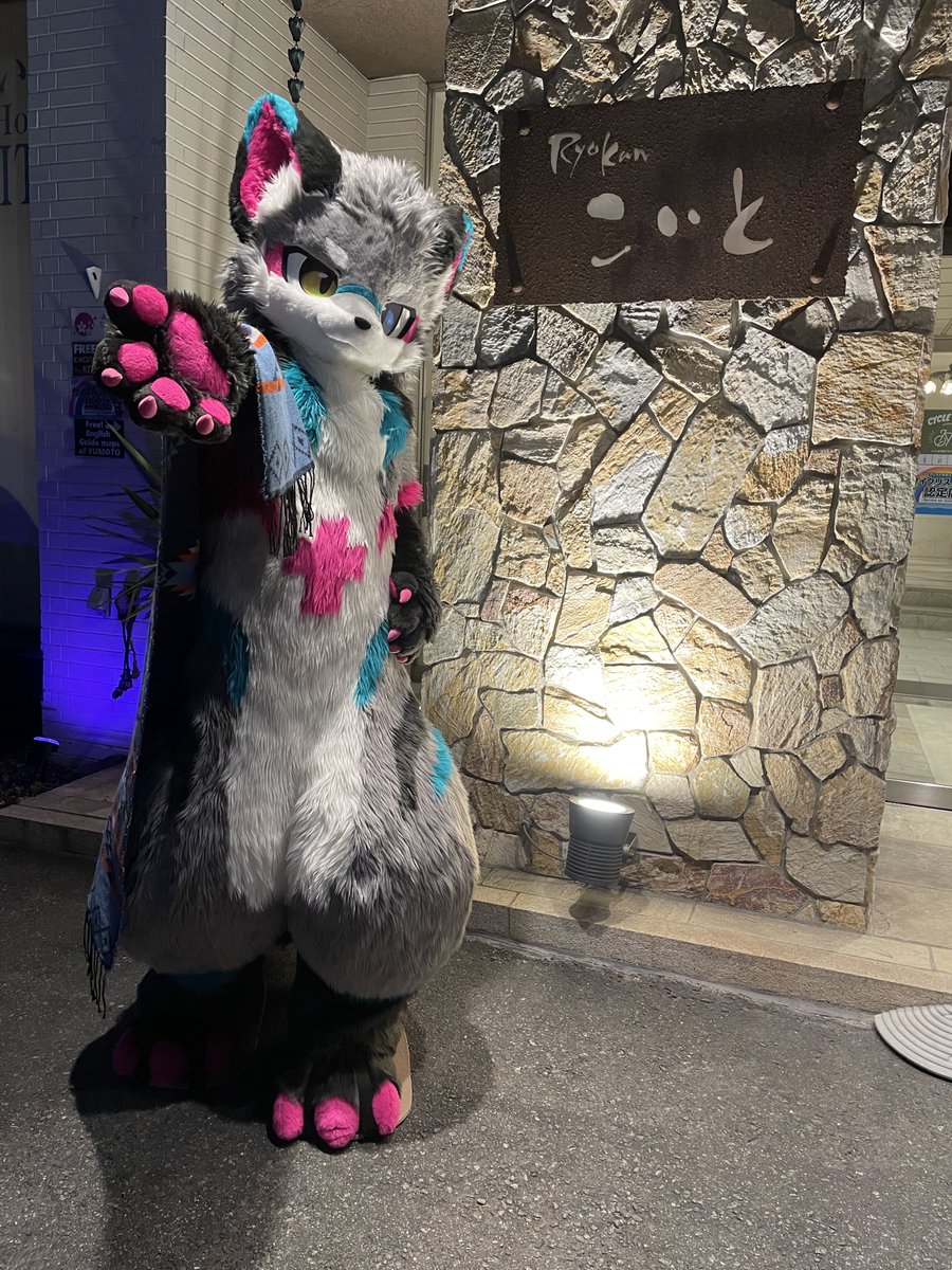 🍁てんせん🌋 tweet media