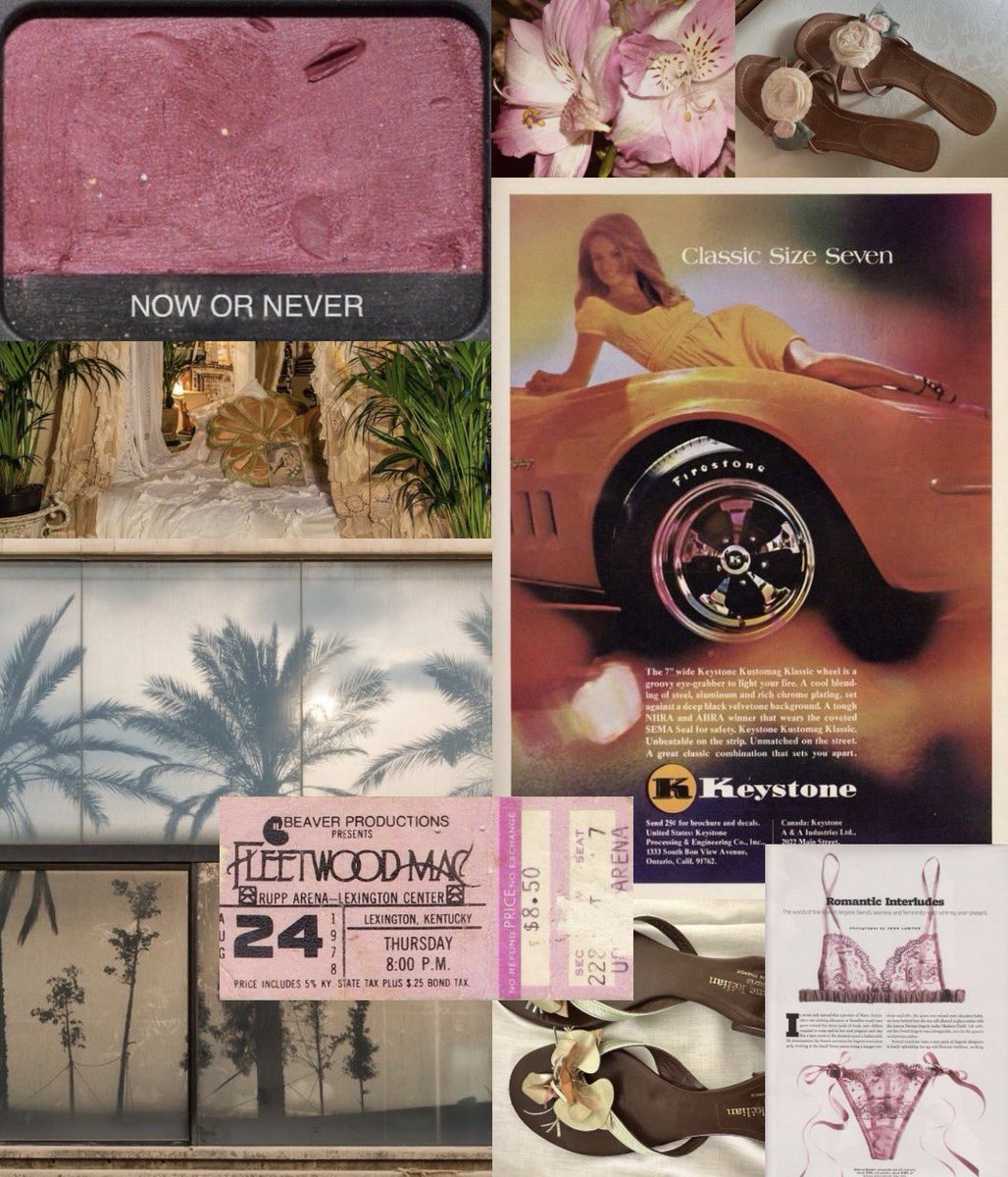 charlotte tweet media